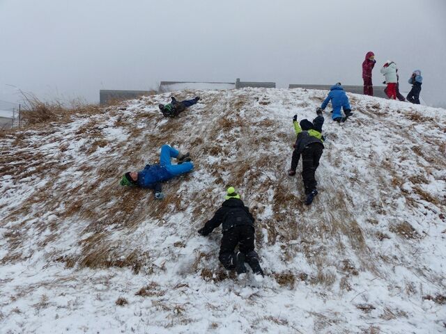 Mardi - dsc1ibwvp3zra3y.jpg