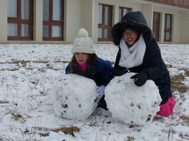 Mardi - ofvbsni04mkr0aq.jpg