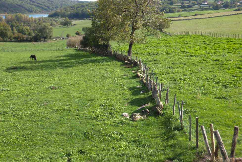 BIGUES BOURG _3_.jpg