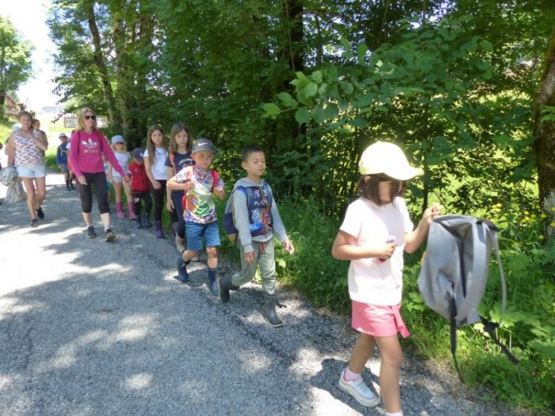 Jeudi - lpsk2w7r4siy1zi.jpg