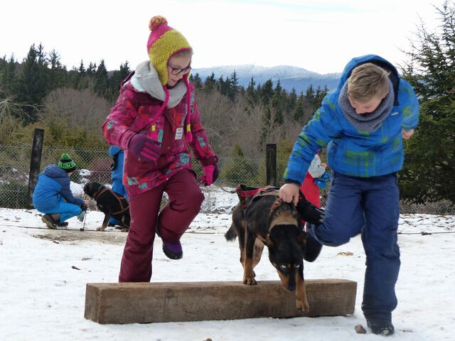 Jeudi - uxq06jxn36zwa.jpg