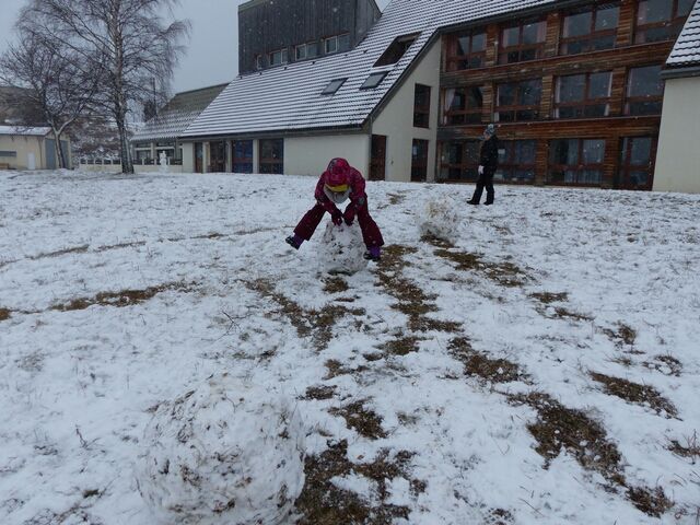 Mardi - vnh7pikv6ntxyw.jpg