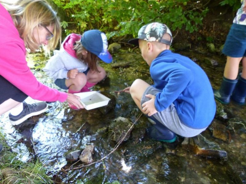 Jeudi - lalic3l8n8ns80b.jpg