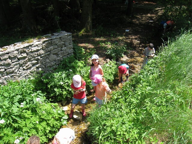 Recherche de bête 1.jpg