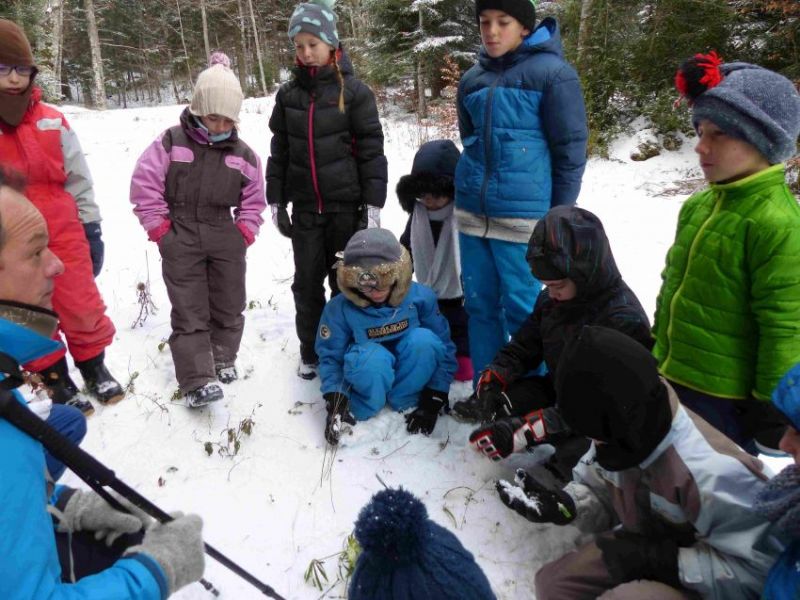 Vendredi - ptze7j8awedwp1t.jpg