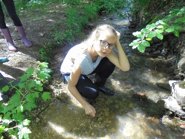 0206 analyse eau _2_.jpg