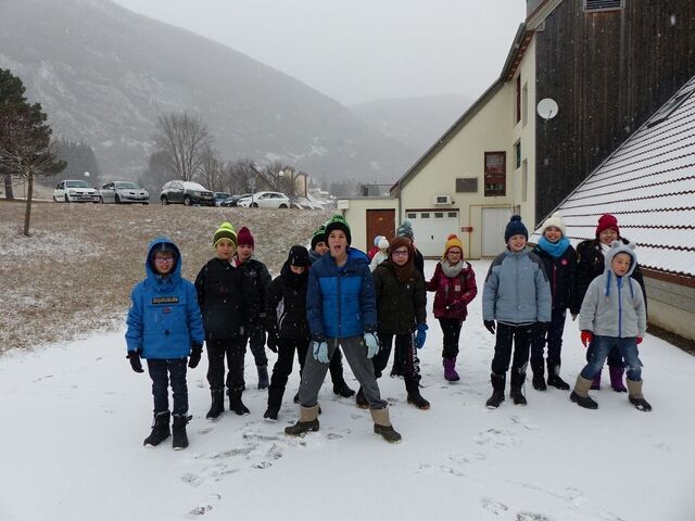 Mardi - tjprzvdd742747e.jpg