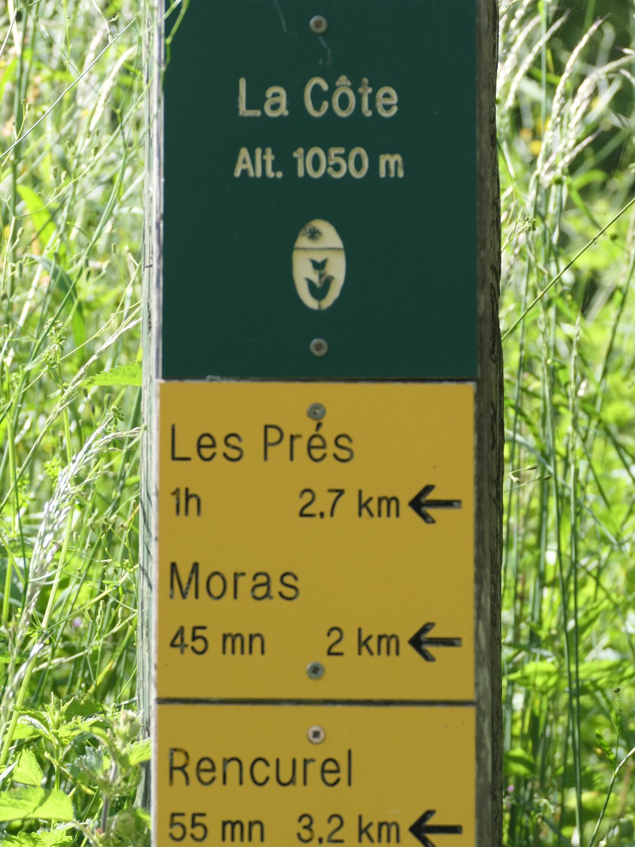 2h30 de bus pour se retrouver près de Moras.......jpg