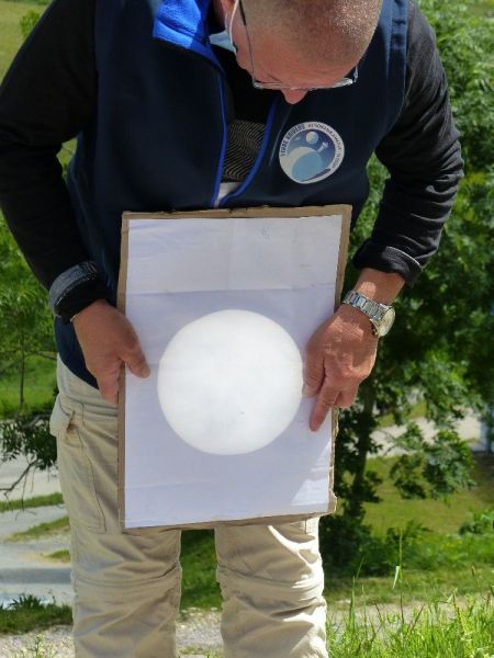 Mardi -1x2w9bq2w4rdwha.jpg