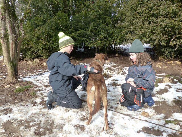 Jeudi - supsuwbriexict.jpg