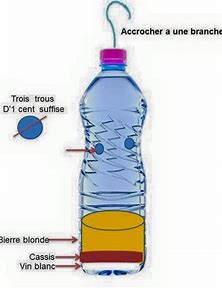 piége frelon.jpeg