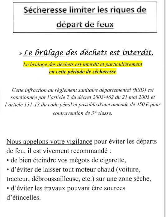Capture d’écran_1-7-2025_123856_.jpeg