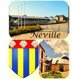 icone neville.jpg