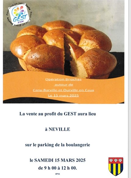 GEST BRIOCHE _2_.jpeg
