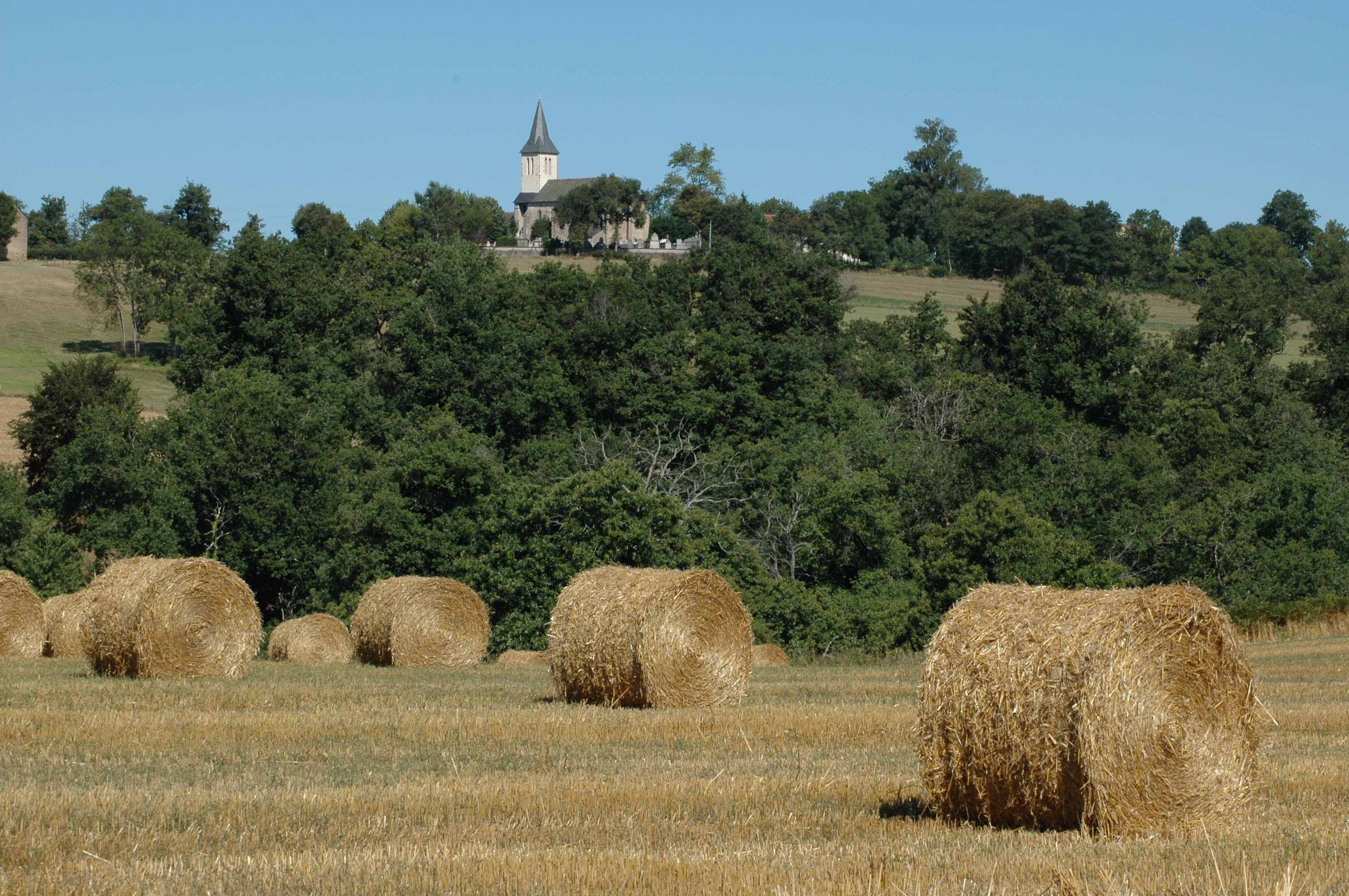 église de Tels _7_.jpg