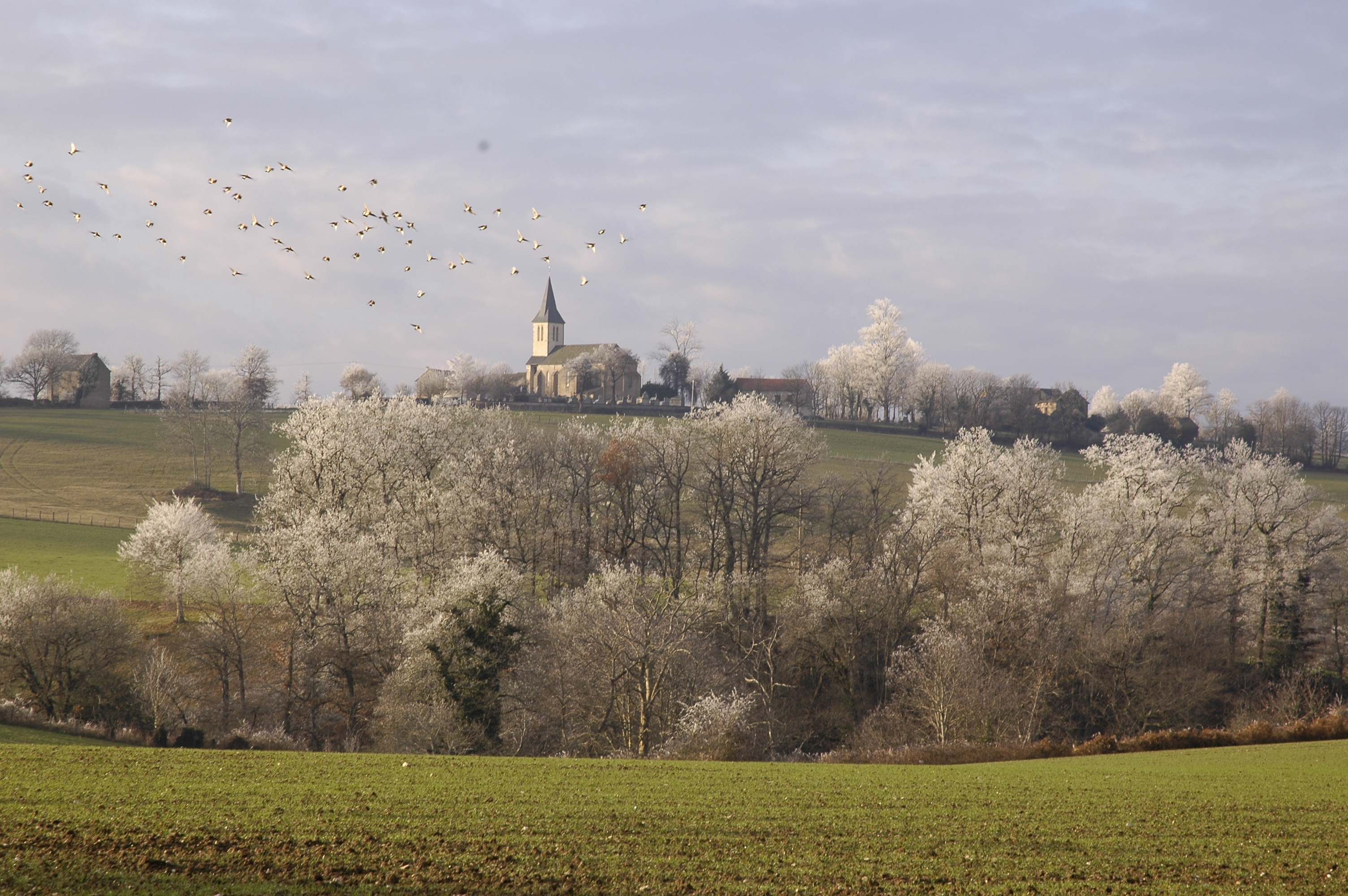 eglise de Tels _1_.JPG