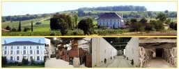  Cognac Domaine du Breuil Segonzac.jpg
