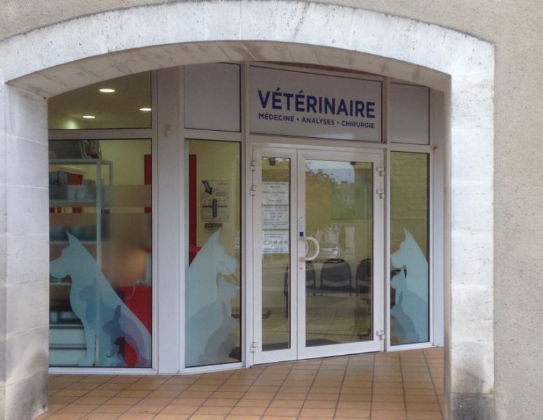  Cabinet vétérinaire.jpg