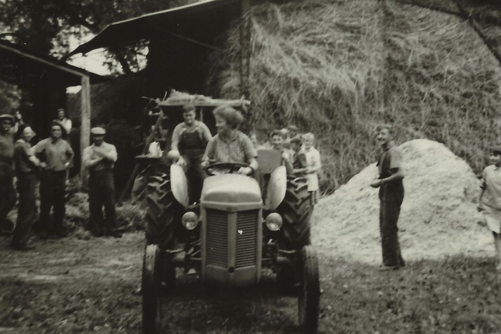 Vieux tracteur-1960 environ.jpg