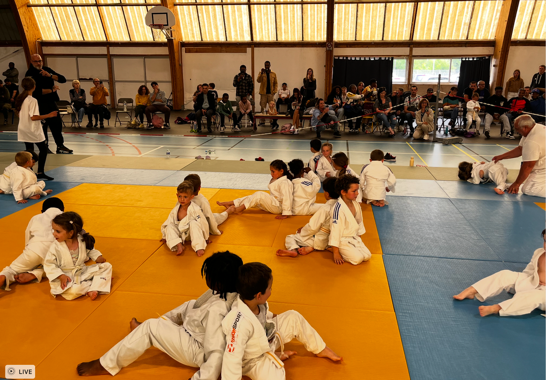 animation eveil 2.png