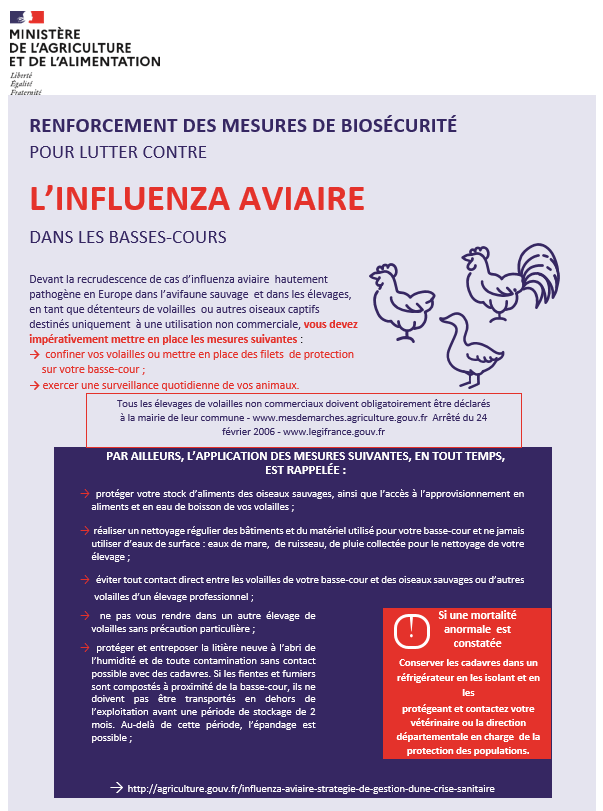 Affiche grippe aviaire.png