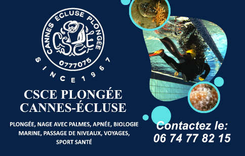 Carte de visite CSCE Plongée Cannes-Écluse