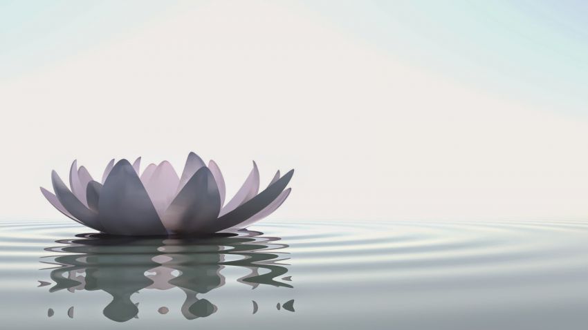 lotus-zen1.jpg lotus-zen1.jpg
