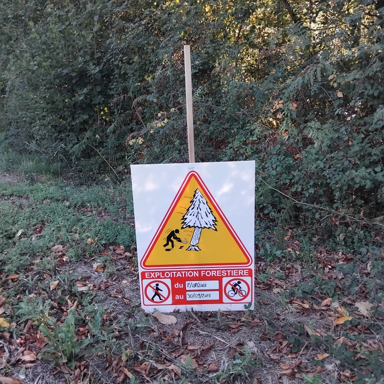 Travaux exploitation forestière.jpg