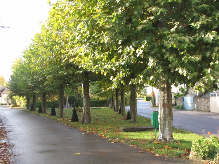 La place du plomb