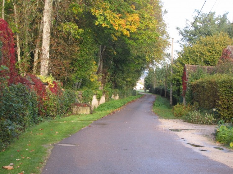 Chemin des eaux automne