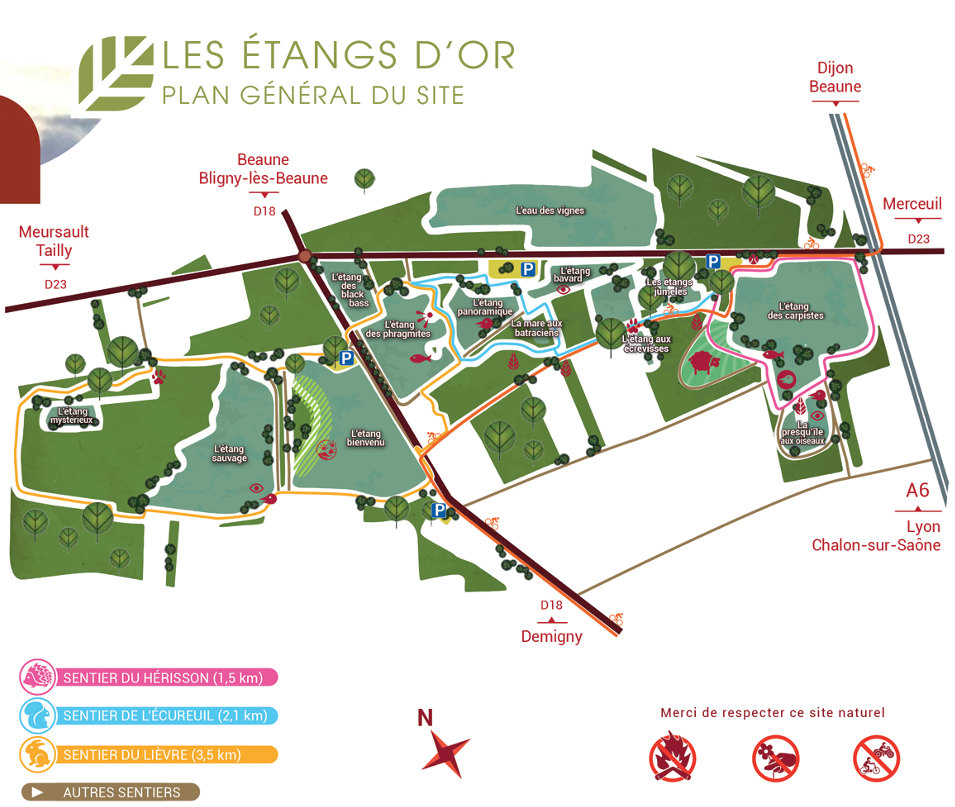 etang d_or.png