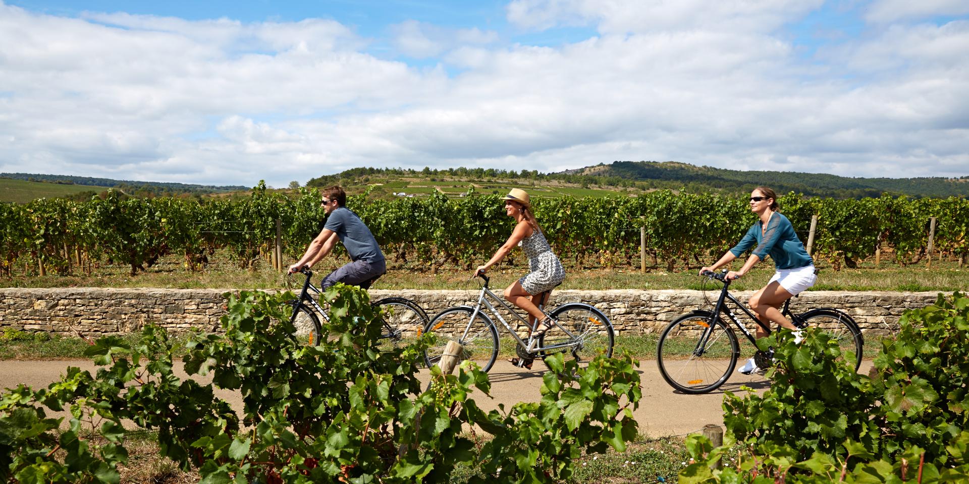 voie-des-vignes-bourgogne-velo-14-1920x960-crop-1677596522.jpg