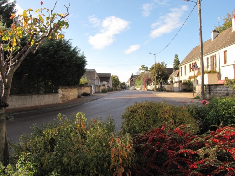 Rue Robarde