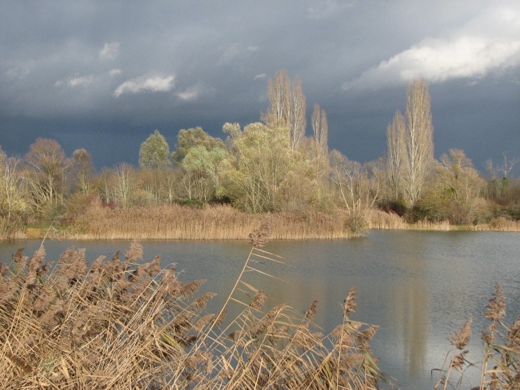 Etang