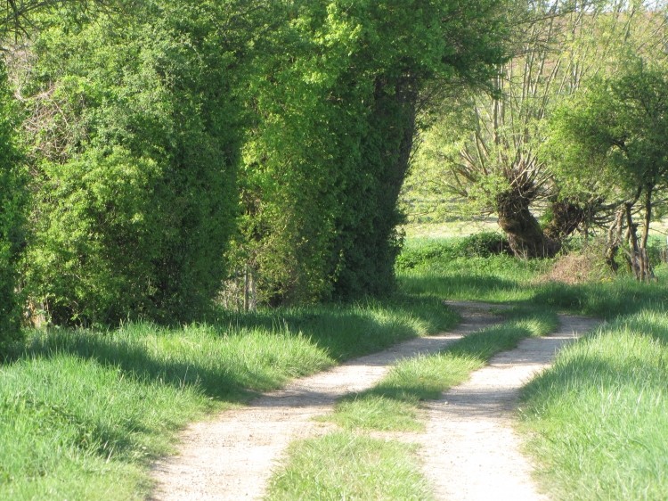 Chemin creux