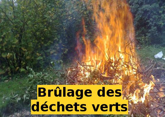 Affiche dechets verts.jpg