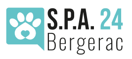 spa.png