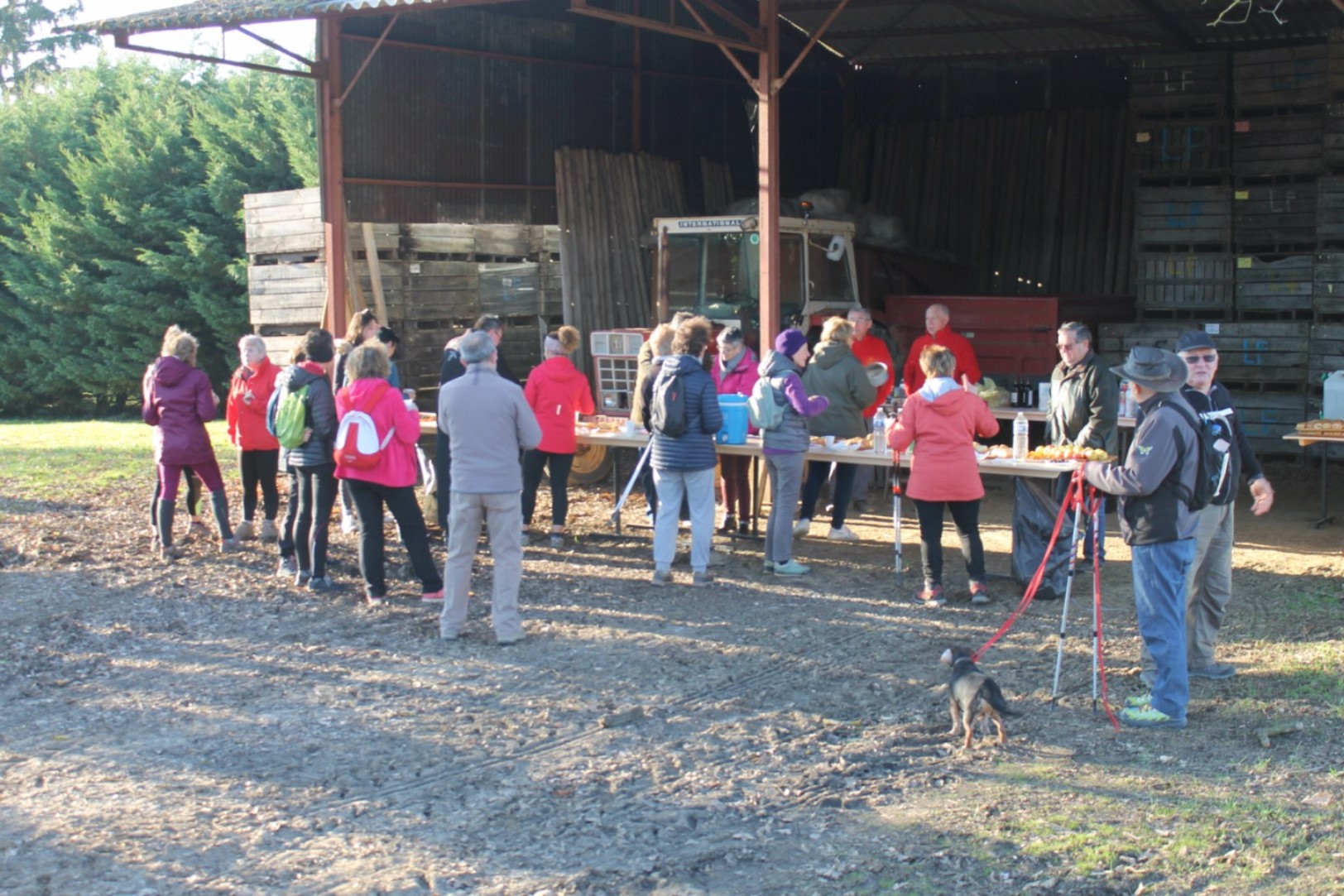 foyer rural randonnée 2019