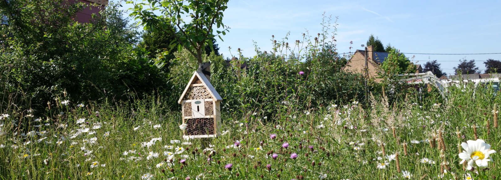 hotel-insectes-prairie-fleurie2frameries.be_.jpg
