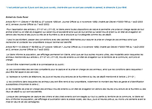Animaux errants page 3.jpg