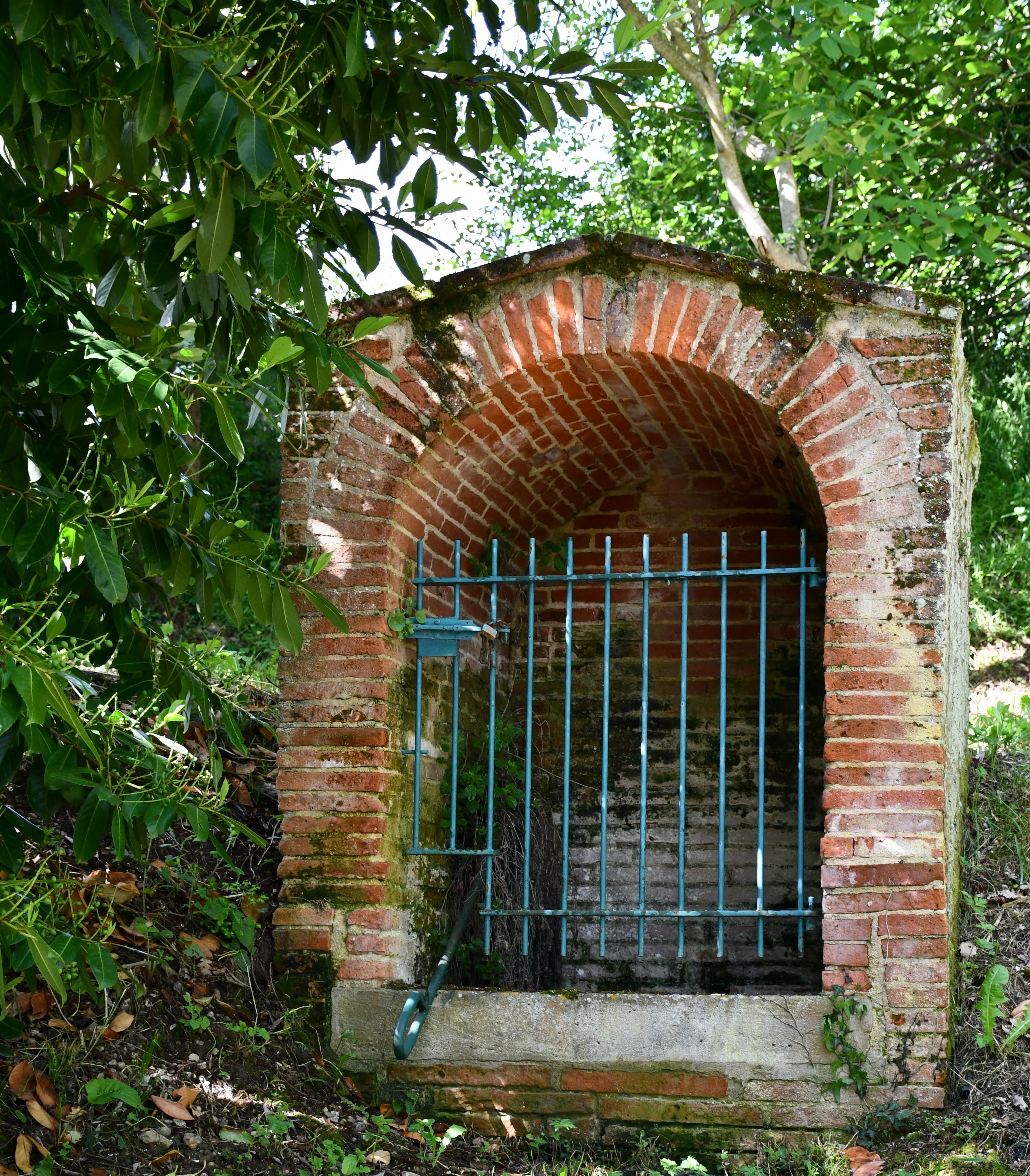 DSC_0080.JPG