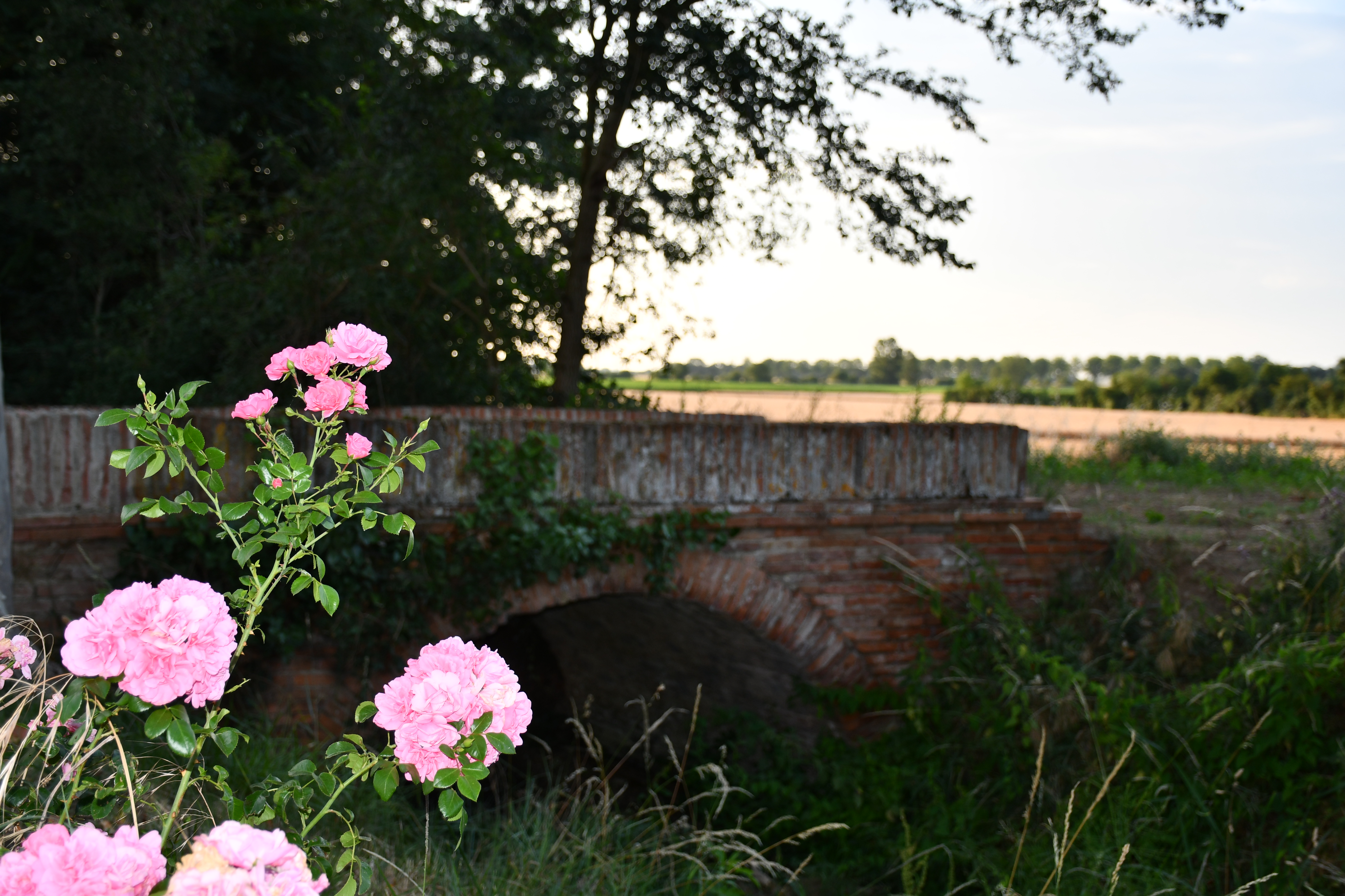 DSC_0662.JPG