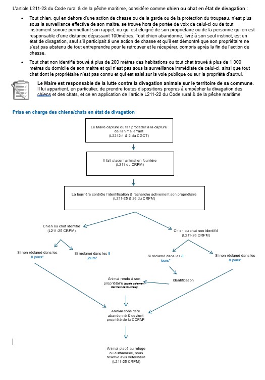 Animaux errants page 2.jpg