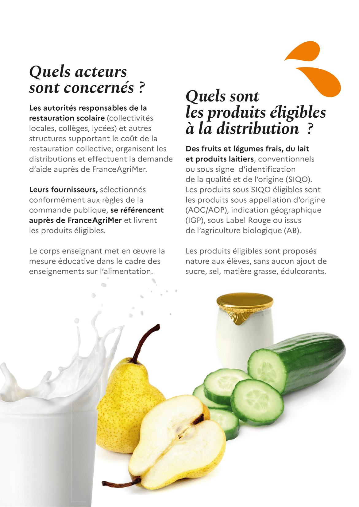 2501_FLPLécole_DEP-3.png
