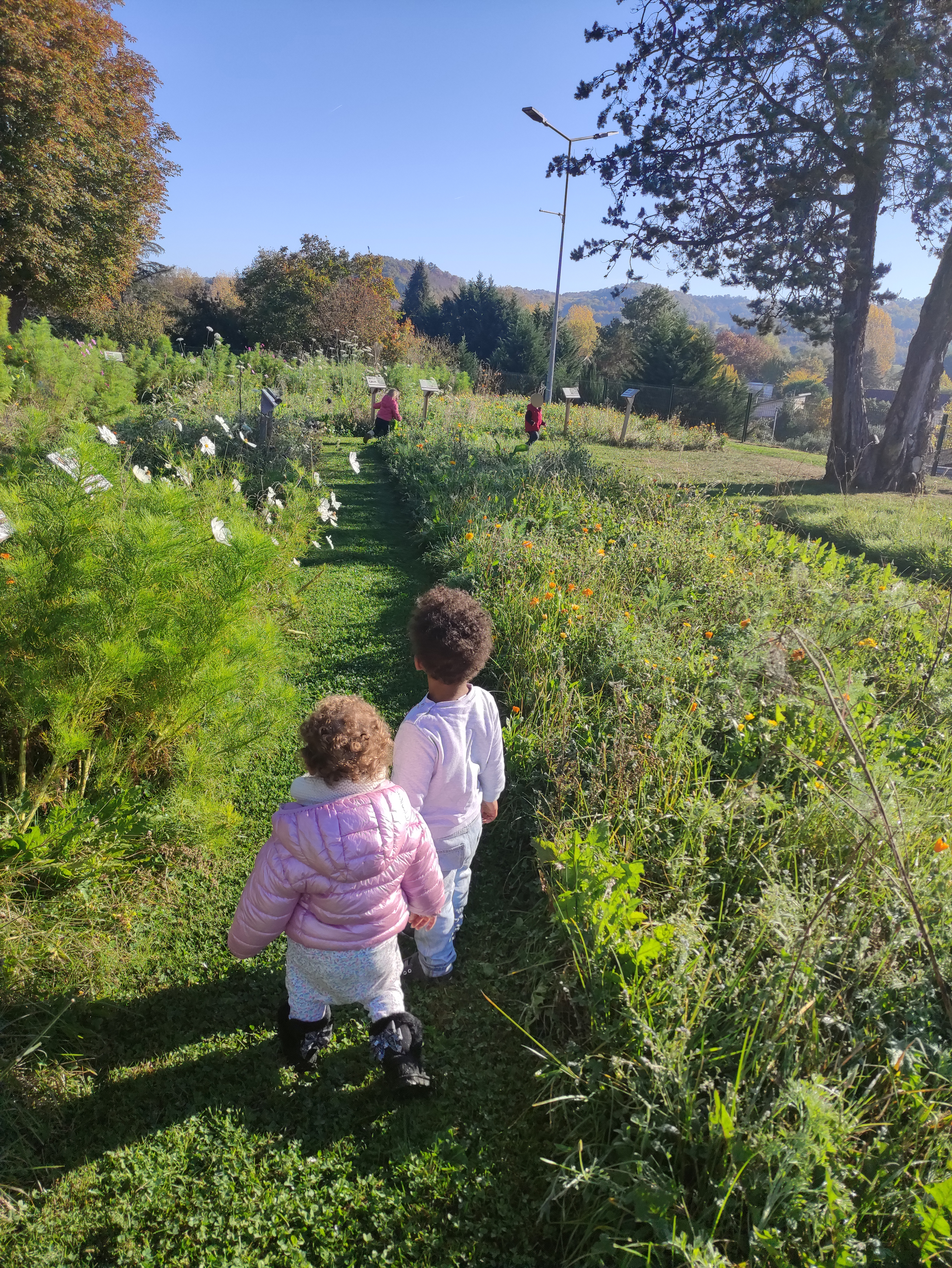 IMG_20211027_110504 copie.jpg