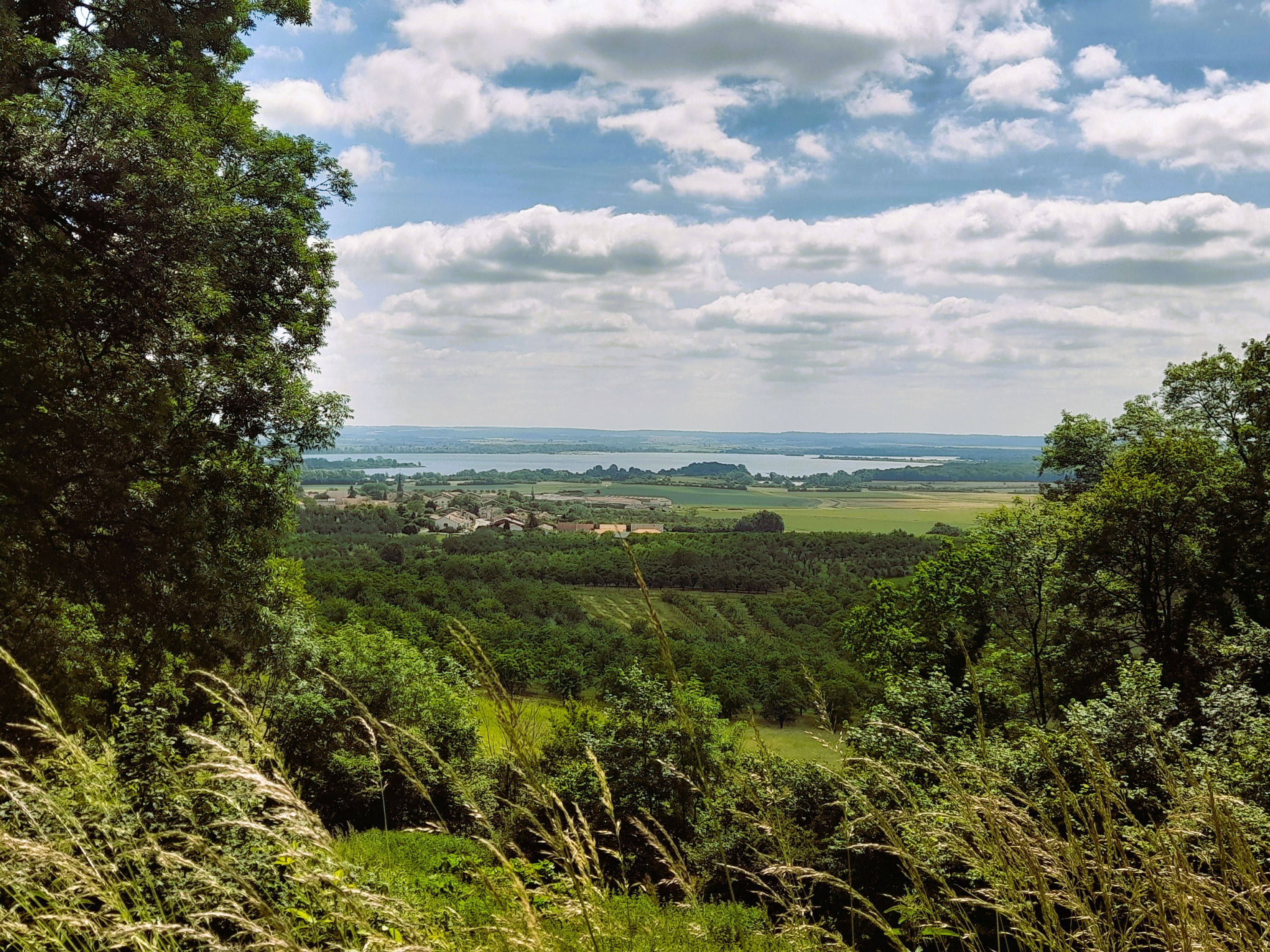 CC Côtes de Meuse_Bandeau 5.jpg