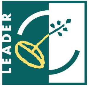 leader_web-300x294.jpg
