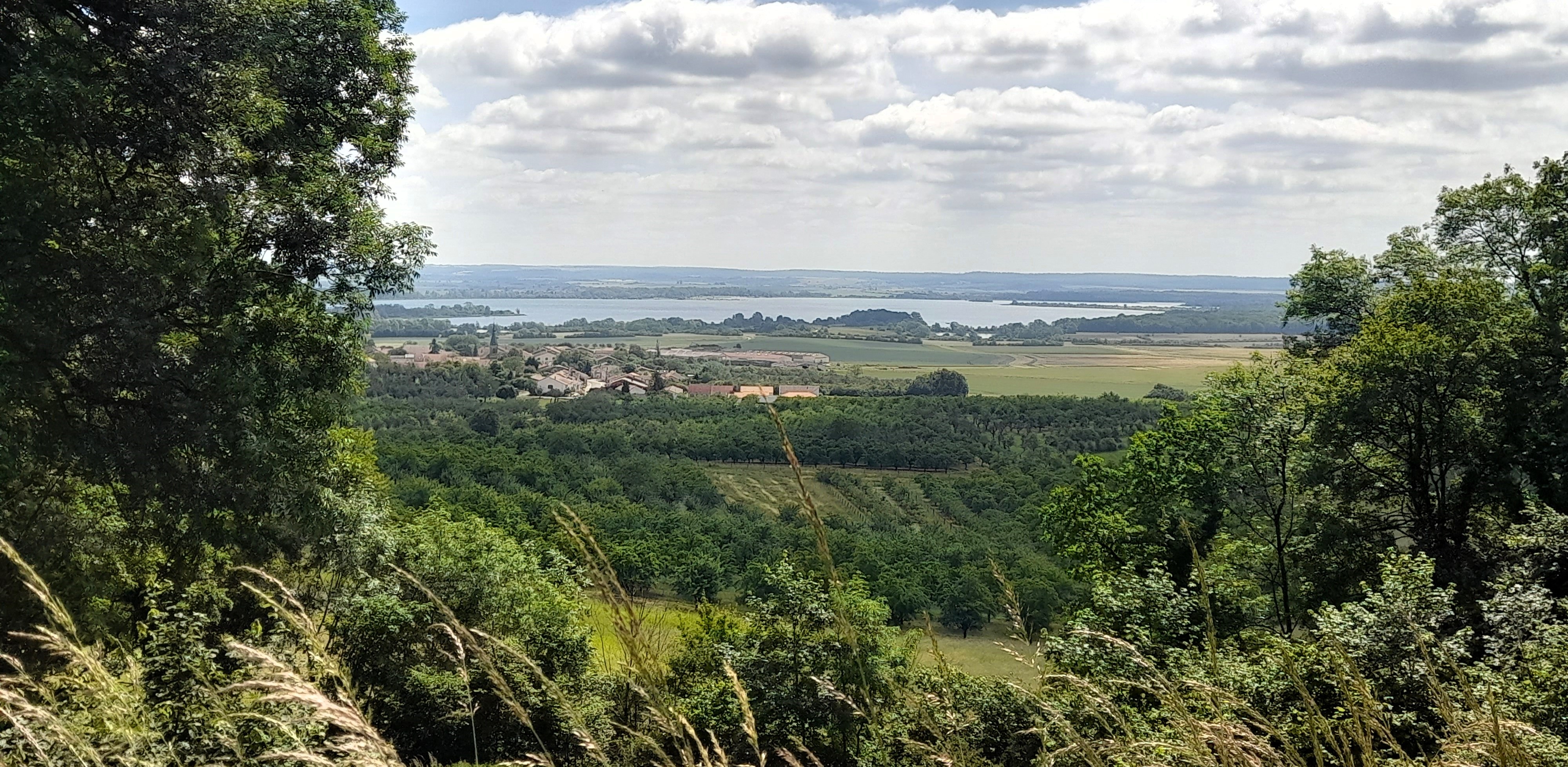 20240610_111607.jpg