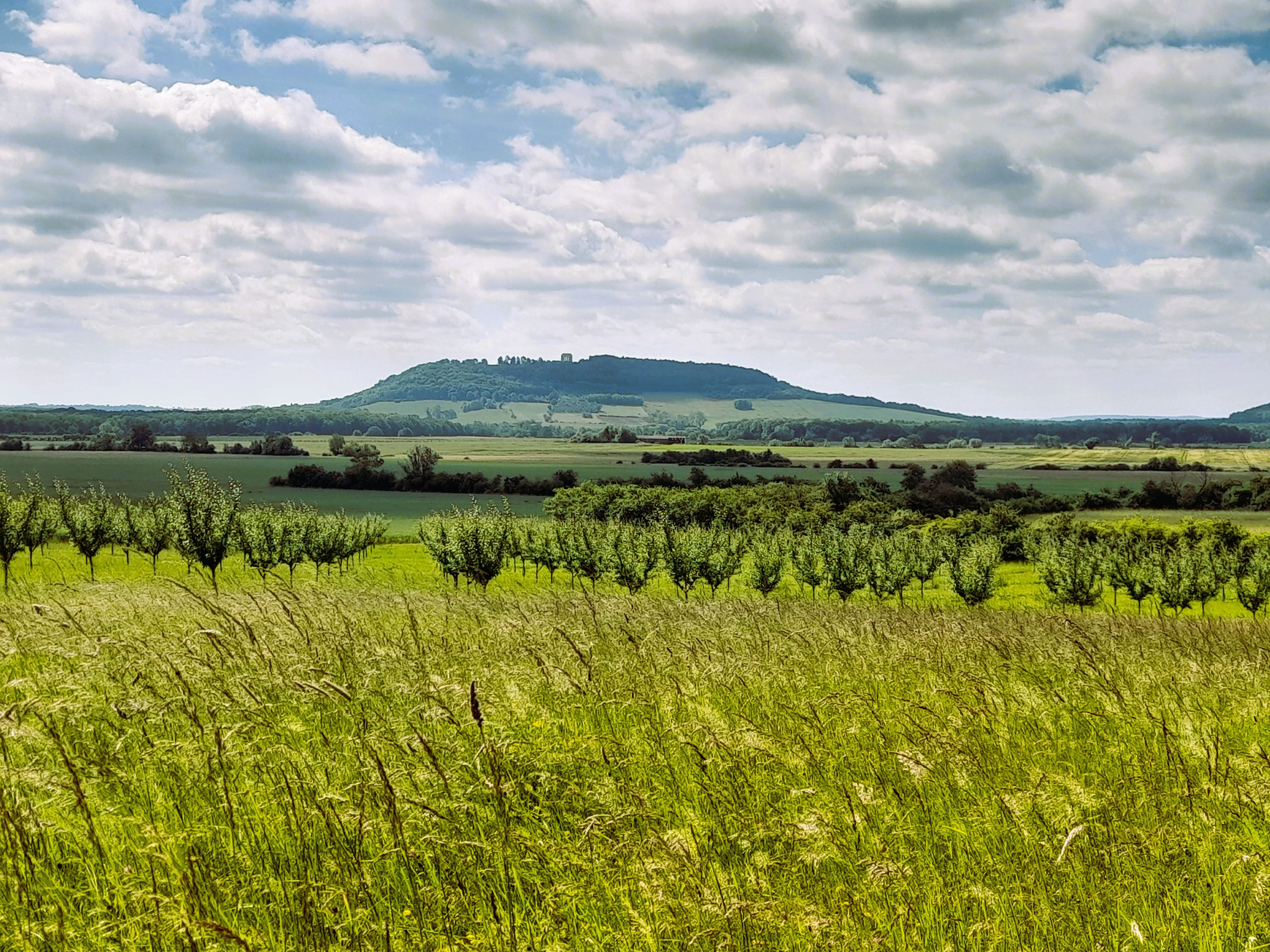 CC Côtes de Meuse_Bandeau 2.jpg