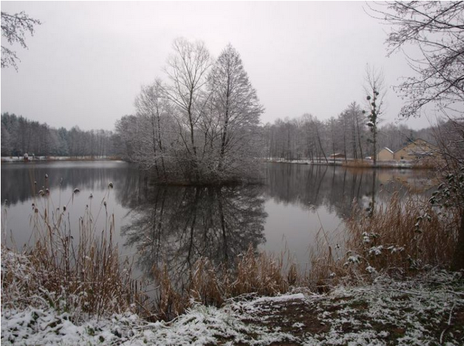 L_étang de la Trinquotte5.png